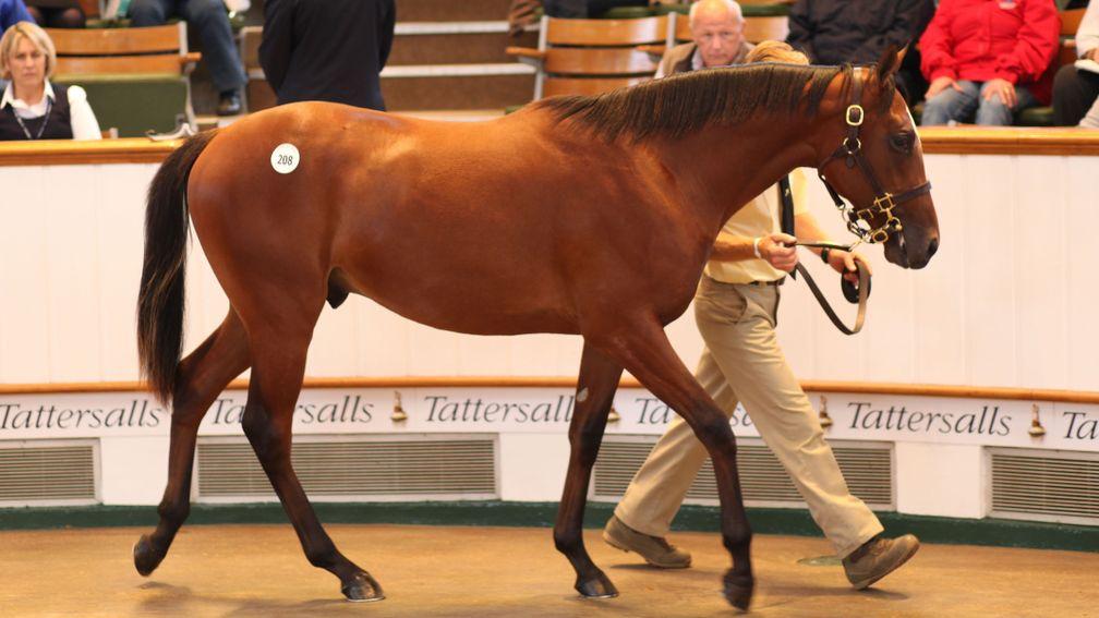 Japan sells as a yearling, when he commanded 1,300,000gns