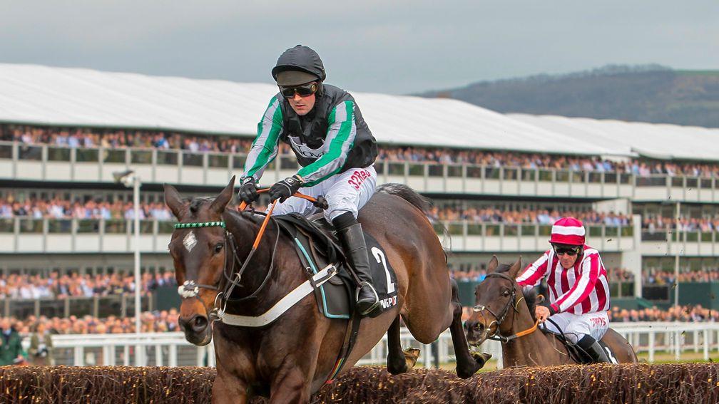 Altior: is by the late High Chaparral, a son of Sadler's Wells