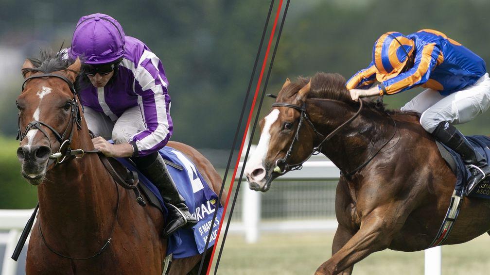 St Mark's Basilica (left): ante-post favourite replaced by Love in the Juddmonte International