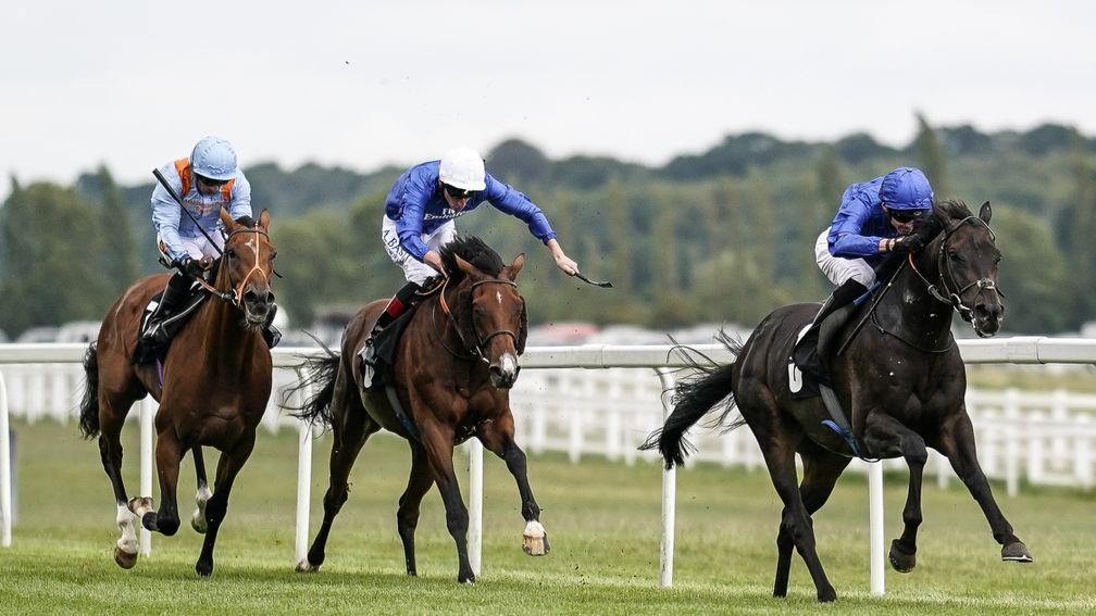 Walton Street (white cap) battles with St Leger hopeful Raymond Tusk (left) in the fight for minor honours behind Hamada at Newbury last month
