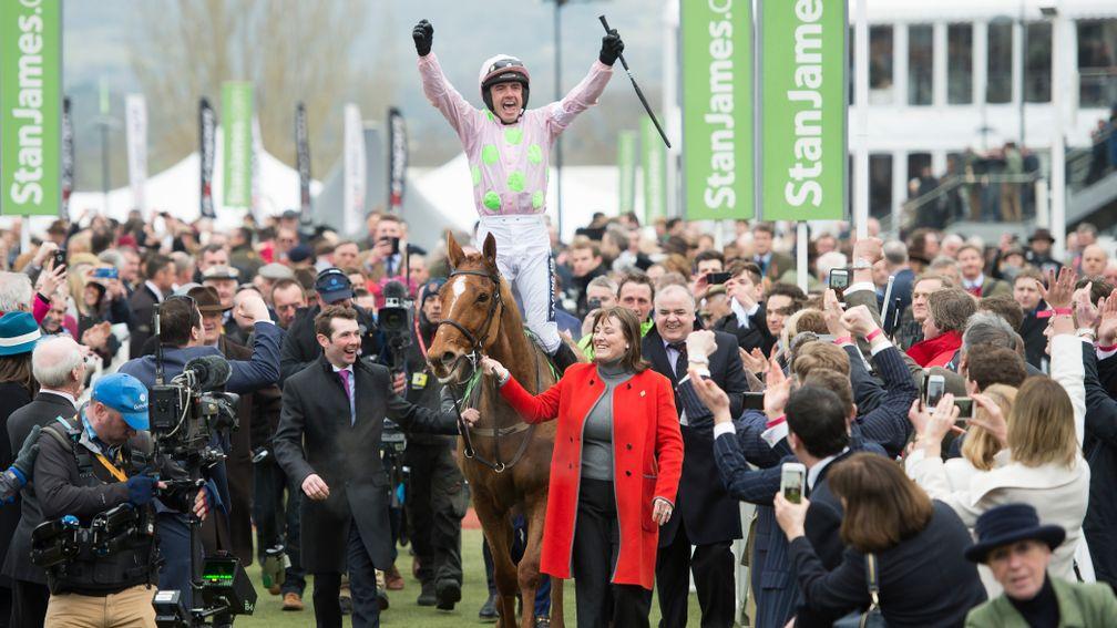 Annie Power: 2016 Champion Hurdle star is in foal to Derby hero Camelot