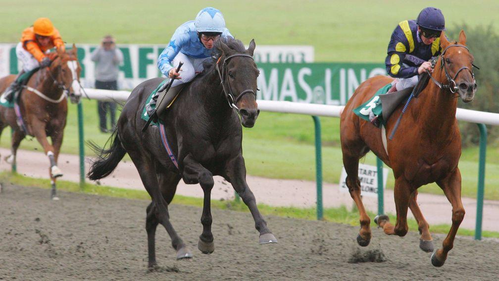Texas Gold (right): earned £216,891 in prize-money