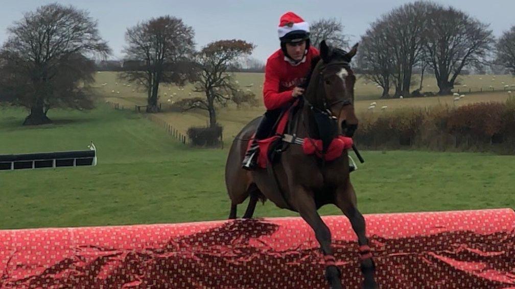 Festive jumping: Nick Scholfield jumping the wrapped fence aboard Native Robin