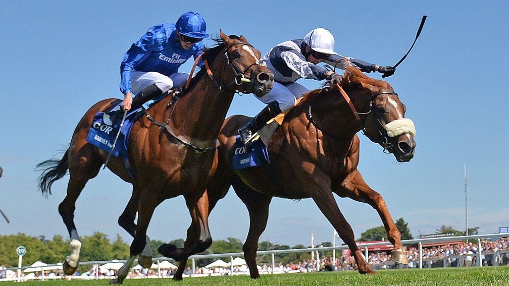 Barney Roy (left) and Ulysses (right) could renew their Coral-Eclipse rivalry in the Juddmonte International