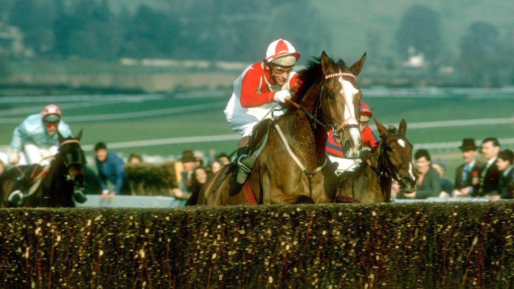 The Dikler and Barry Brogan in action in the 1972 Cheltenham Gold Cup
