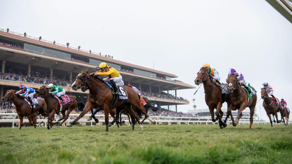 Twilight Gleaming (Irad Ortiz, yellow) holds her rivals in the Juvenile Turf Sprint at Del Mar