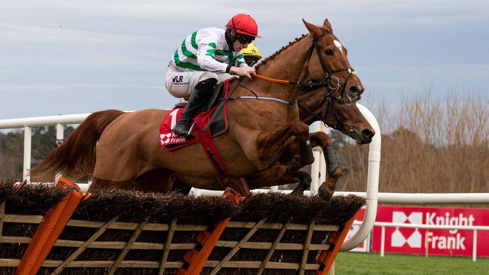 Zanahiyr: finished third behind Honeysuckle and Epatante in last year's Champion Hurdle