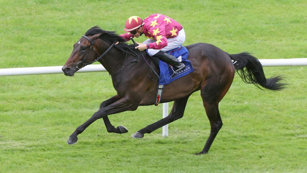 Al Riffa: leading favourite for the 2,000 Guineas this year 