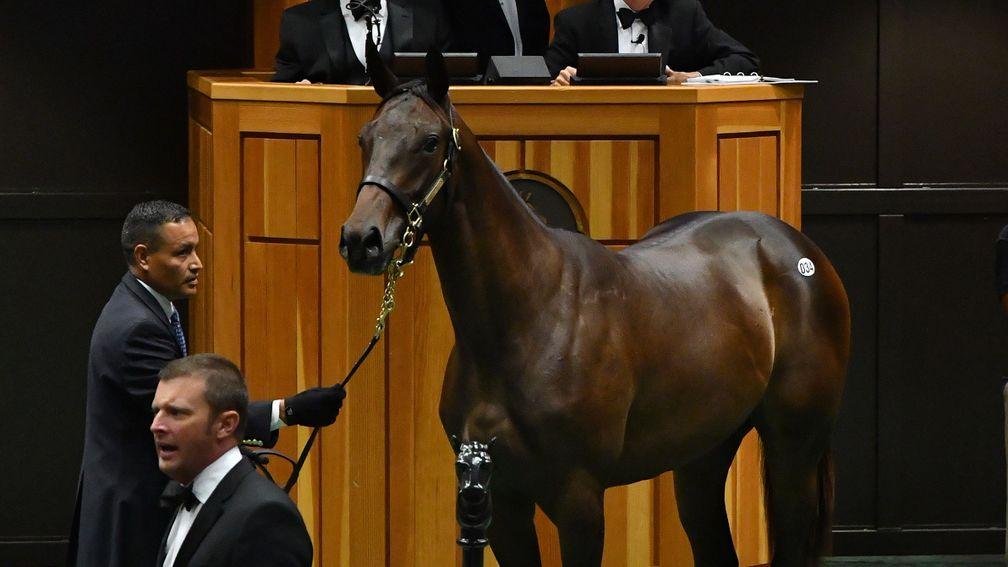 The Curlin filly was the top-priced lot of the Juddmonte purchases at $750,000 on Monday