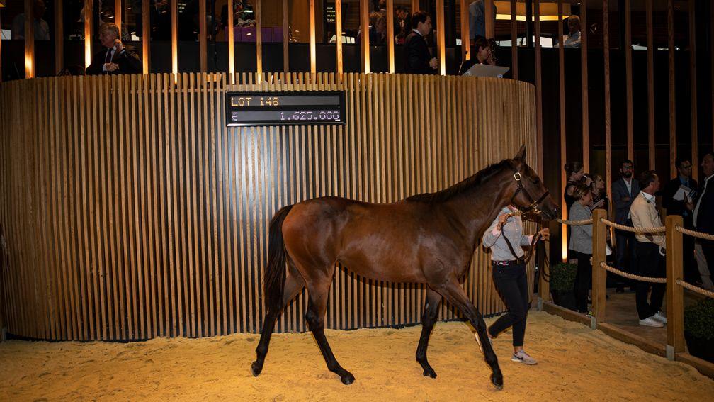 Lot 148: the Dubawi filly out of Prudenzia sells to Godolphin for 1.625m euros