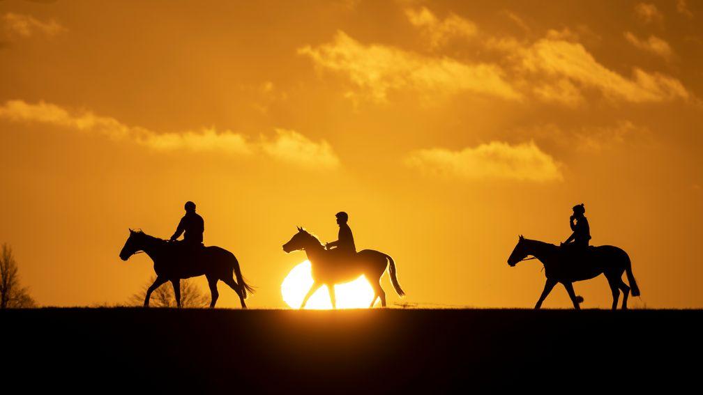 Horses out exercising on the busy gallops in Newmarket