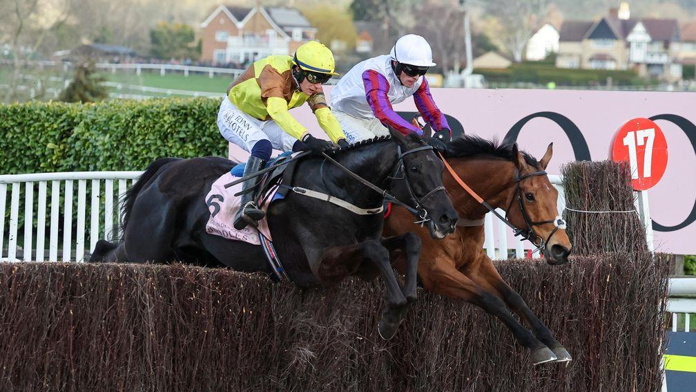 Galopin Des Champs (right) faces Bravemansgame once more at Punchestown