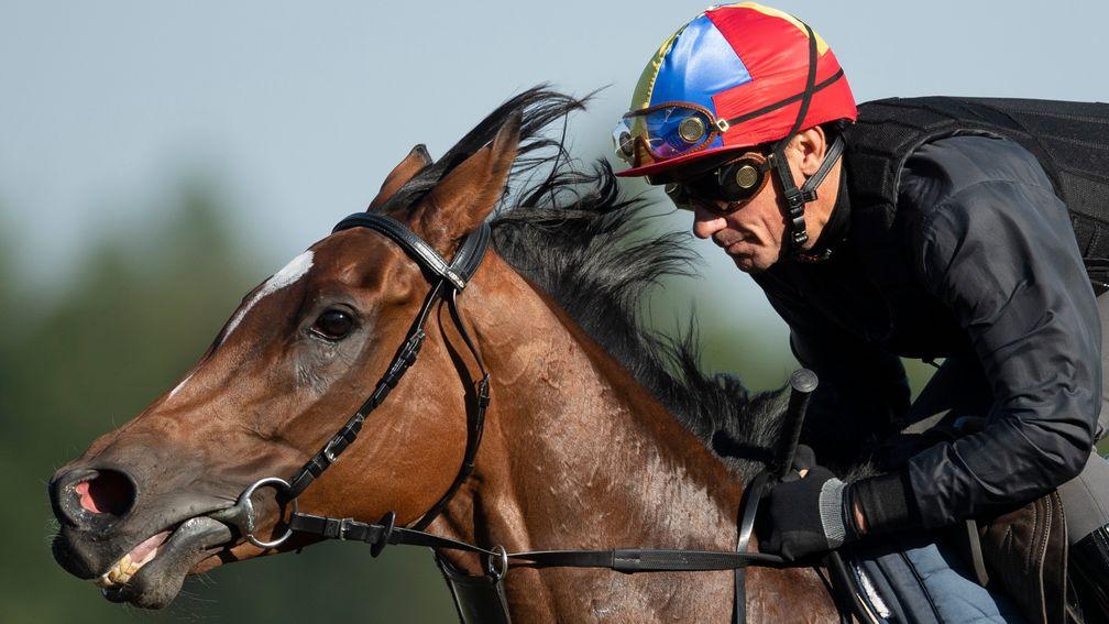 Frankie Dettori and Enable: pre-Arc gallop scheduled for Wednesday