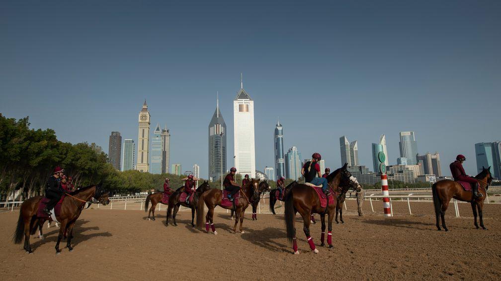 Horses on the training track at trainer Bhupat Seemar's Zabeel Stables in Dubai