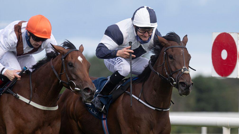 No Speak Alexander and Shane Foley winners of the Coolmore Matron Stakes (Group 1).Leopardstown Racecourse.Photo: Patrick McCann/Racing Post11.09.2021