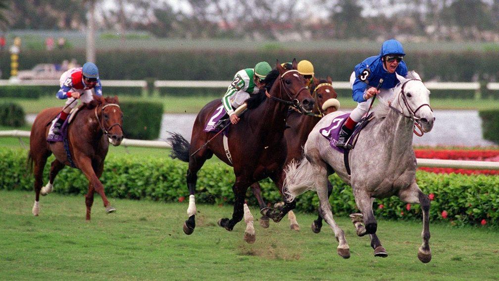 Daylami and Frankie Dettori win the Breeders' Cup Turf from Royal Anthem at Gulfstream Park in November 1999