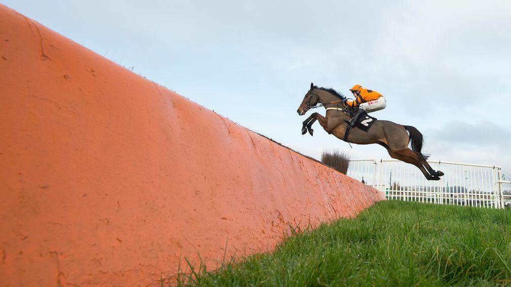 Thistlecrack: unbeaten novice chaser was bought for just €32,000 as a foal