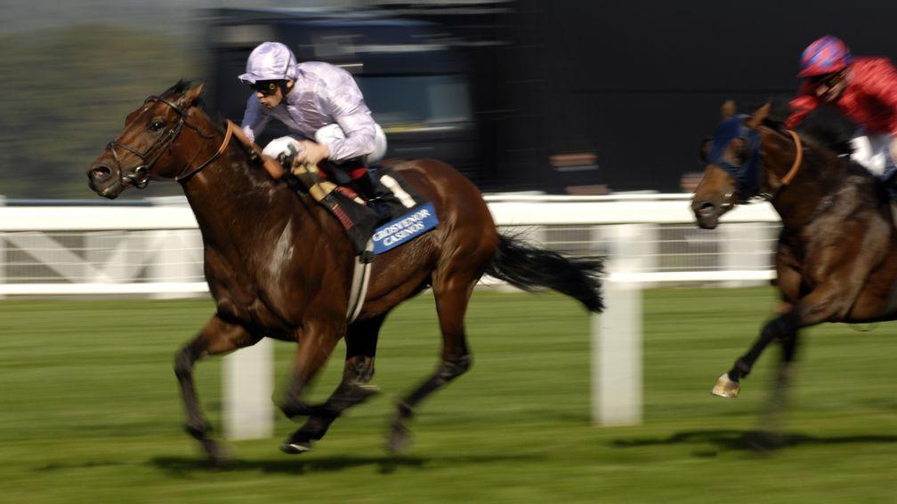Ascot 28.9.08 Picture:Edward WhitakerSixties Icon and Frankie Dettori beat Sugar Ray and Jimmy Fortune to win the Cumberland Lodge