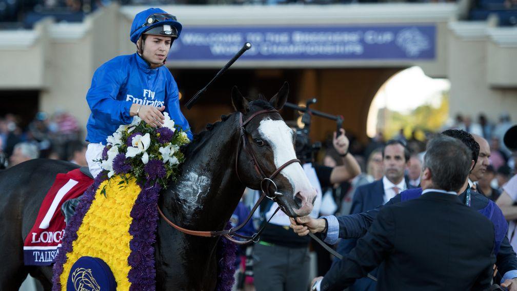 Talismanic: the Breeders' Cup Turf winner will now attempt to win the Dubai World Cup on dirt
