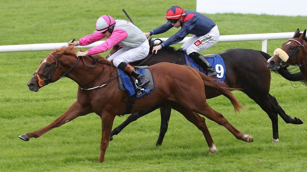 Breaking Story: bids to follow up debut win in today's Fairyhouse feature