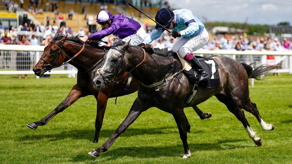 Harrow (grey) made it fourth time lucky in the feature race