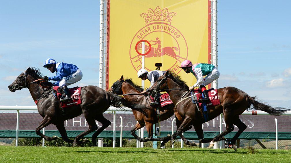Mohaather (left): son of Showcasing sees off Circus Maximus and Siskin to land a vintage running of the Qatar Sussex Stakes