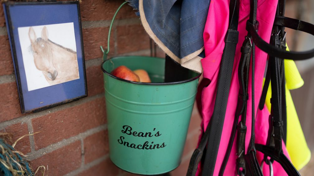 Fit for a king: Bean gets plenty of food and fan mail, including the brilliant drawing put up by his box