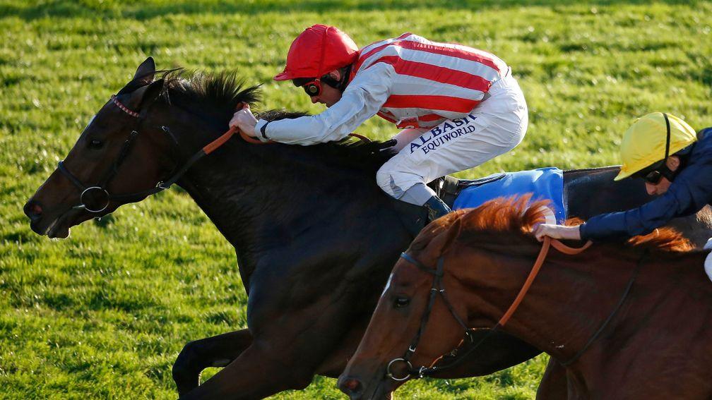 Chain Of Daisies: beat the mighty Ulysses in the Winter Hill Stakes last year
