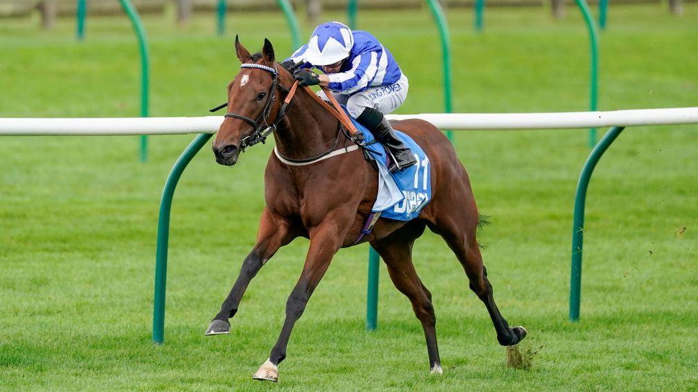 Winter Power: won the Group 3 Cornwallis Stakes at Newmarket in October and wears a first-time tongue-tie at York