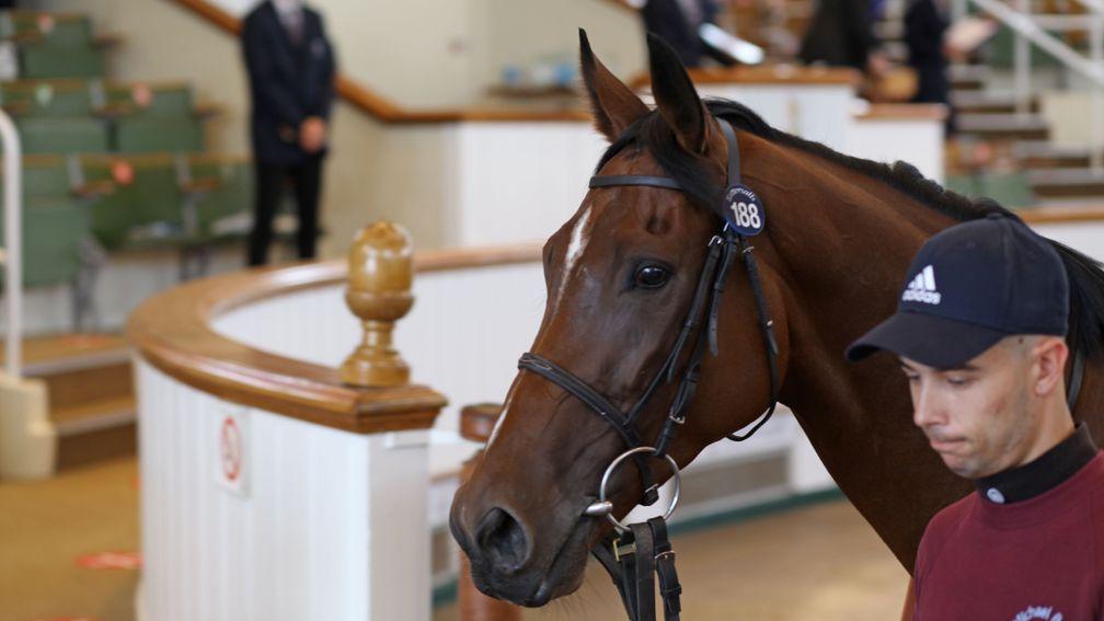 Cloud Drift exits the Tattersalls sales ring having been knocked down for 75,000gns