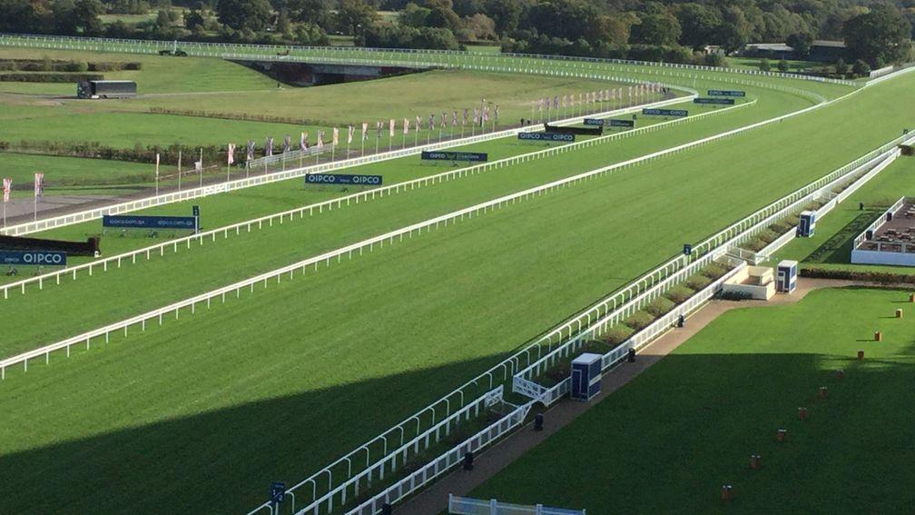 A new inner Flat course has been created by the Ascot team for Qipco British Champions Day