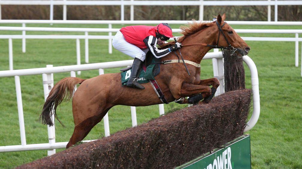 Simply Ned: racked up a famous hat-trick in the Grade 1 Paddy Power Chase at Leopardstown's Christmas meeting