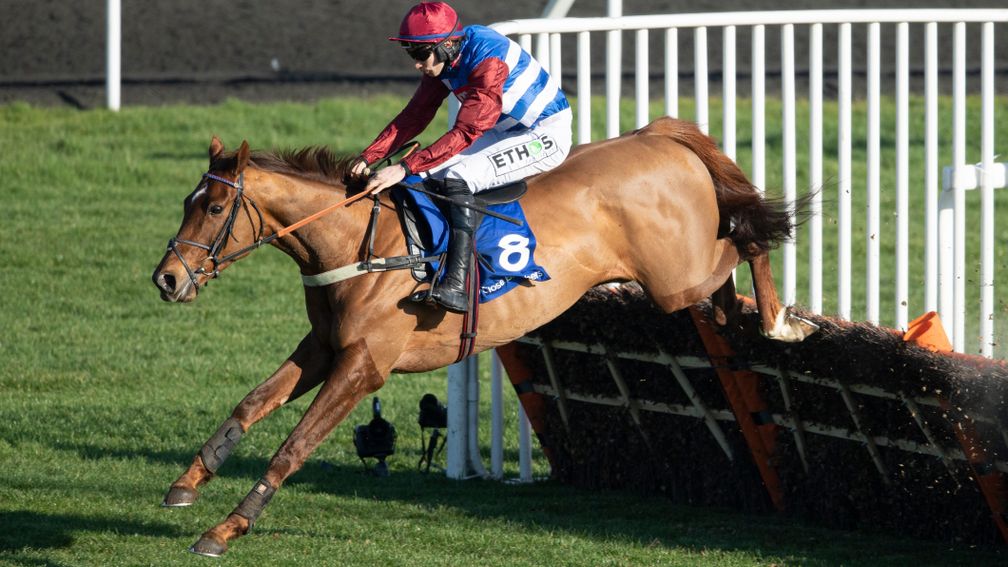 Tritonic was a mighty impressive winner of the Adonis Hurdle at Kempton on Saturday
