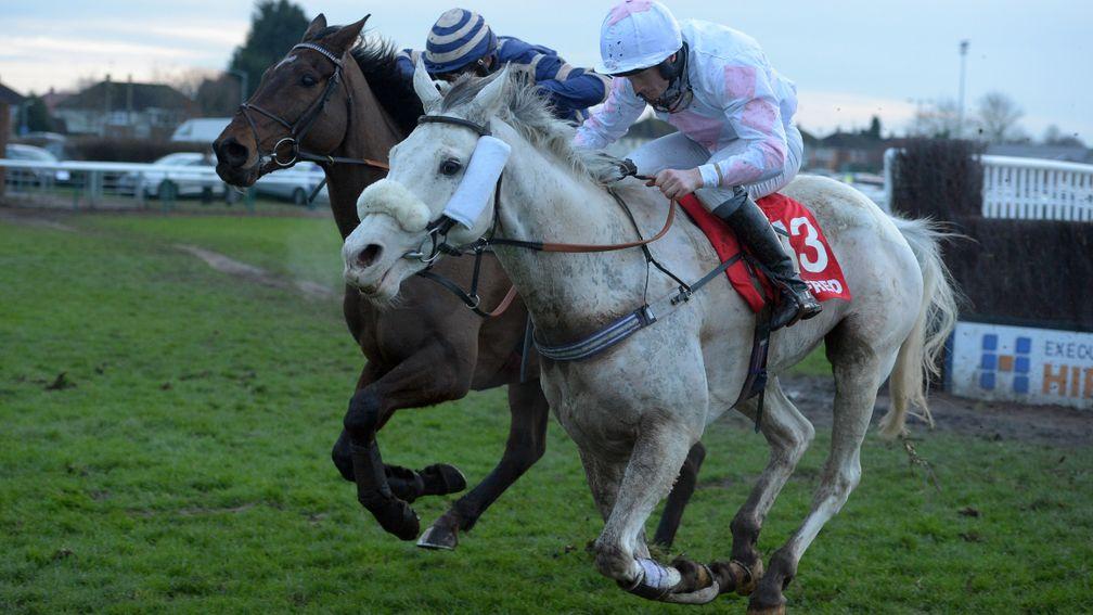 Russe Blanc: the only horse registered as 'white' with Weatherbys