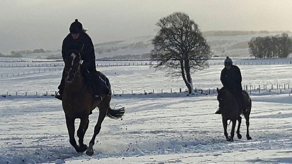 Lucinda Russell's string work out in the snow