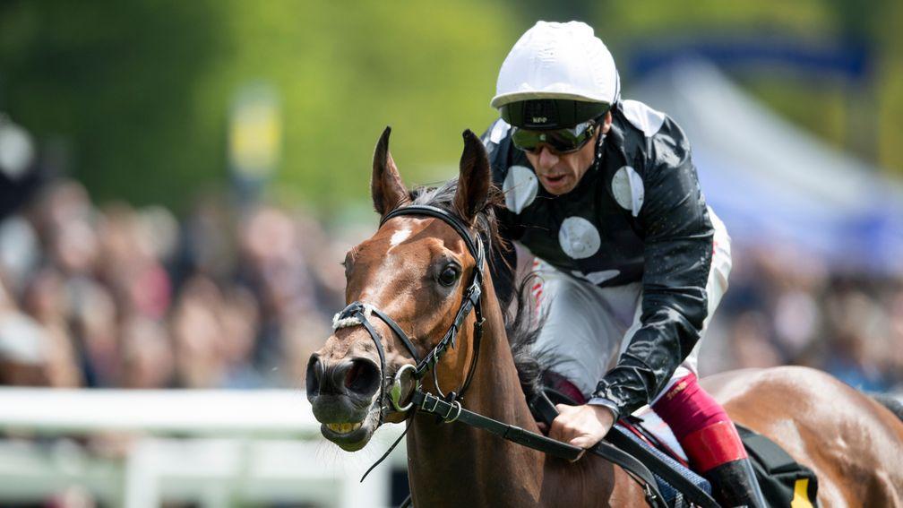 Anapurna: could also head to Epsom