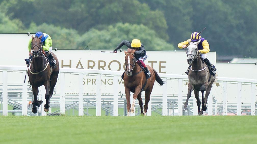 Three-time Gold Cup winner Stradivarius was put in his place by Subjectivist at Royal Ascot