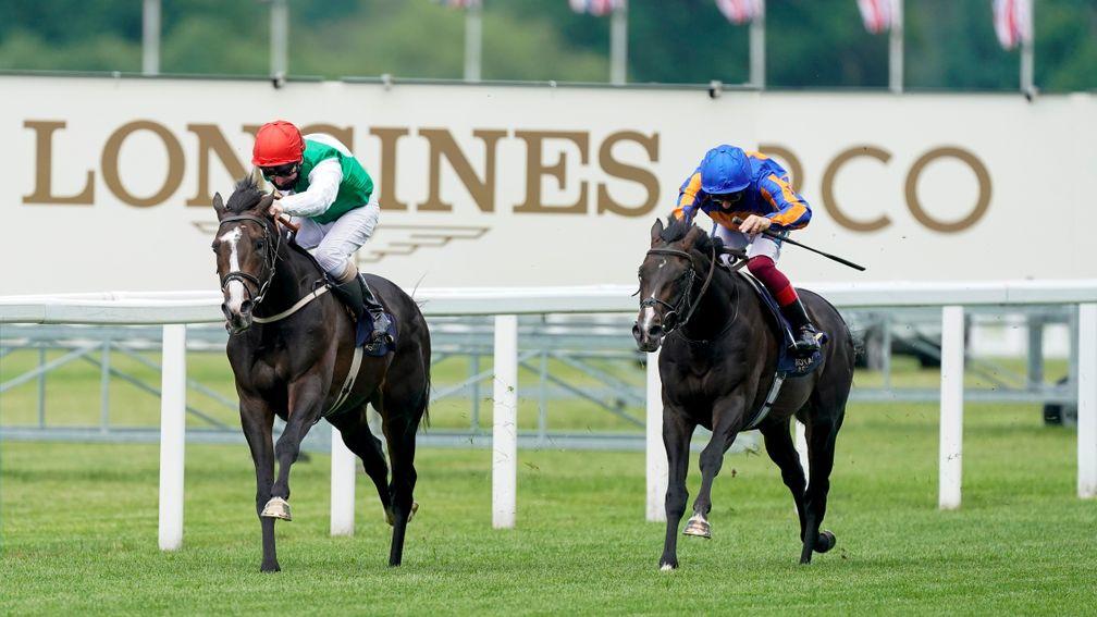 Pyledriver: got the better of Arthur's Kingdom in the King Edward VII Stakes last week