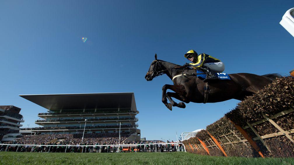 Willoughby Court jumps the final flight before landing the Neptune Novices' Hurdle