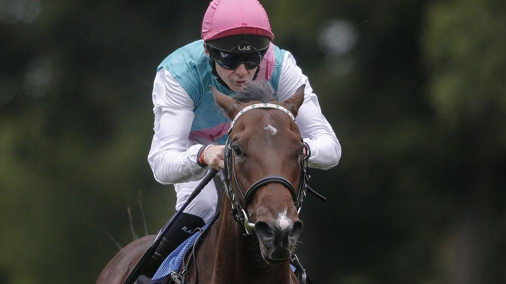 Calyx with Robert Havlin: the unbeaten colt is hot favourite for the Sandy Lane Stakes