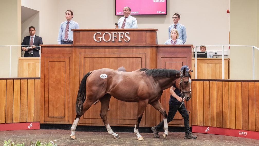 The £250,000 Siyouni filly strides out in the Goffs UK sales ring