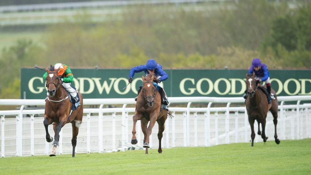 Lone Eagle (left): won the Cocked Hat Stakes last year before finishing second in the Irish Derby