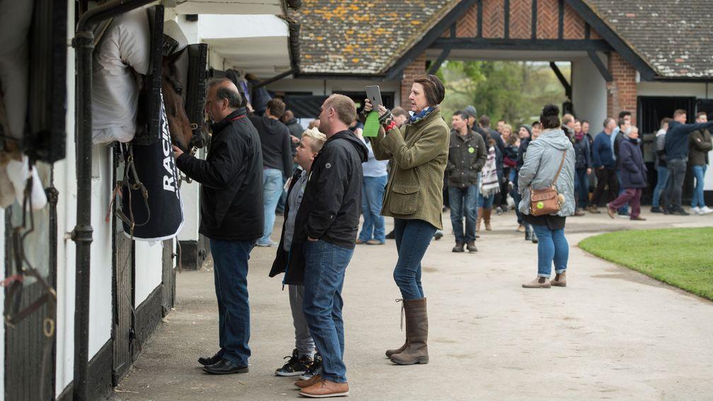 A peek behind the scenes at a stable and a chance to meet an equine hero or two has made open days hugely popular with the public
