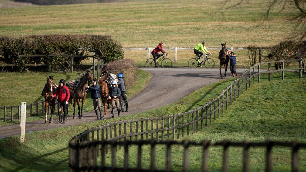 Some Nicky Henderson-trained horses return to Seven Barrows after exercising on Saturday