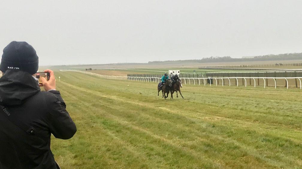 George Boughey looks on as Cachet (nearside) works nicely on the watered gallop