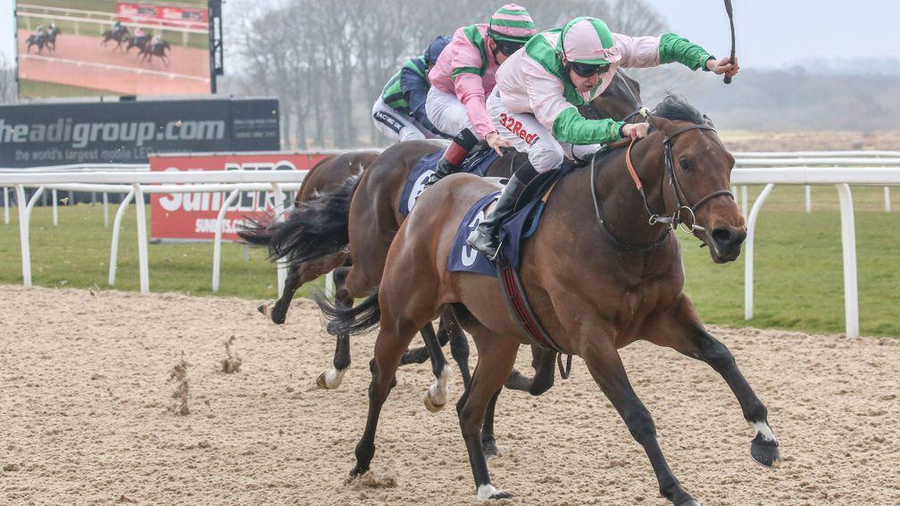 Cowboy Soldier recorded a first career win at Newcastle in March