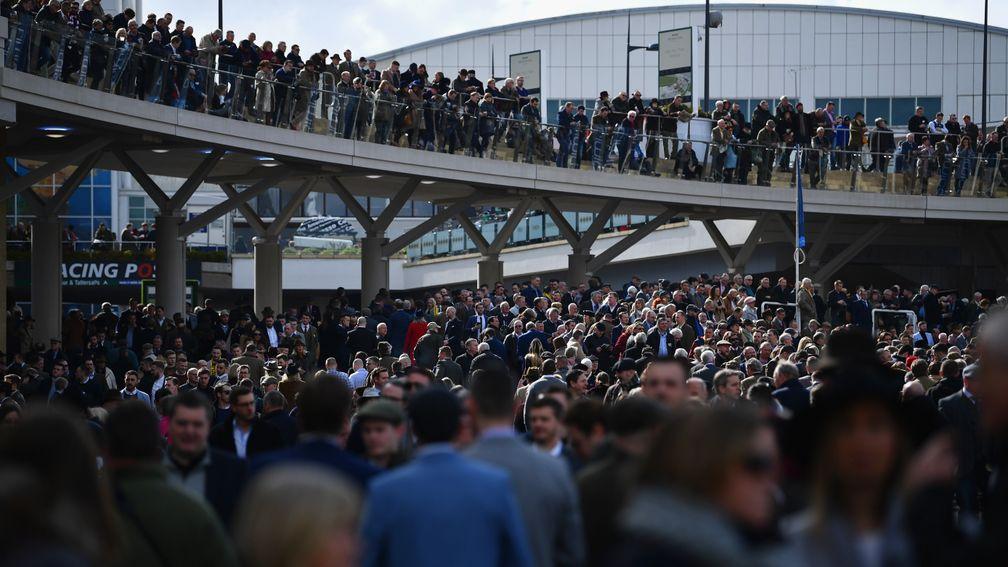 Cheltenham Festival: prospect of another 17mm of rain in the lead-up to the festival