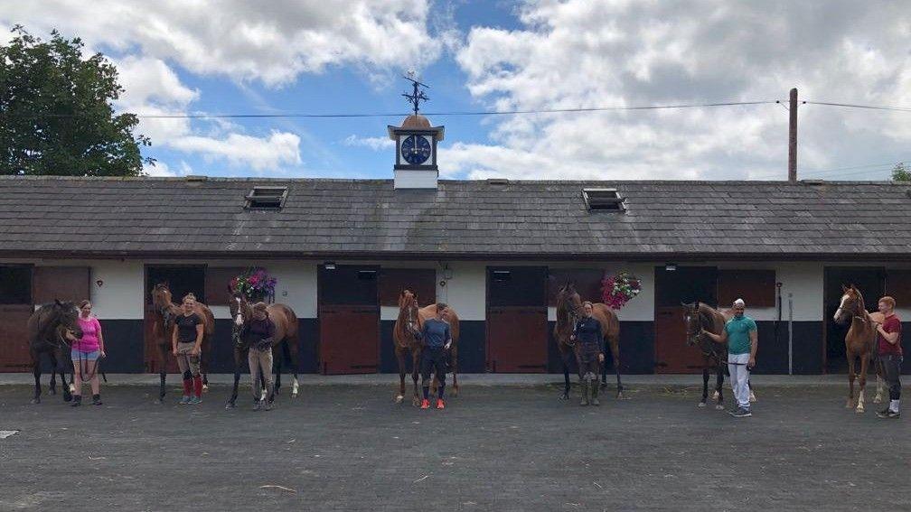 Pictured at Closutton Stables is the brood of Sixhills: her granddaughter Purple Mountain, Mt Leinster, Diamond Hill, Lotus Mountain, three-year-old Walk In The Park filly, two-year-old Beat Hollow filly and yearling gelding by Mount Nelson