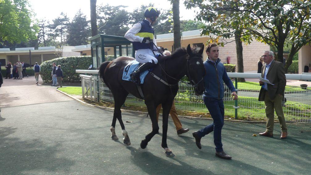 Franco De Port and Johnny Charron return from their fine second in the Prix Ingre