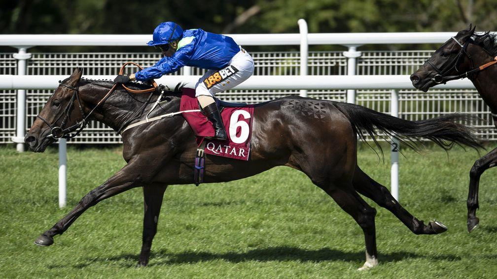 Dark Vision: purchased by Godolphin after winning at Goodwood